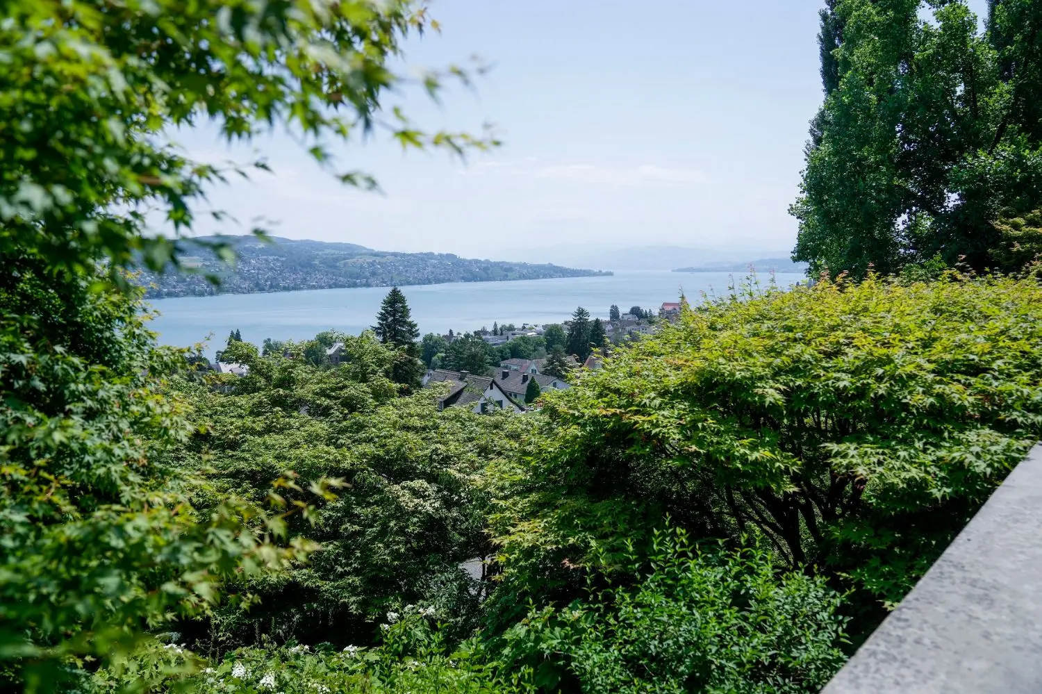 This image was taken during the PSI anniversary event.