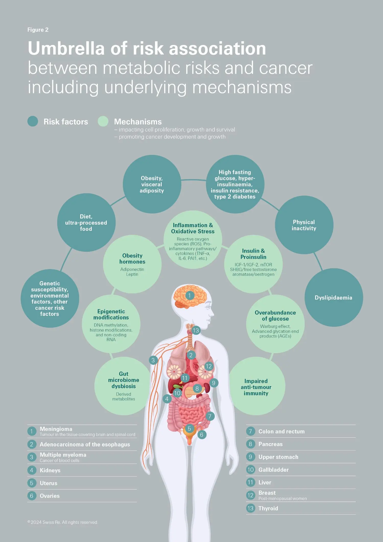 Image of a person featured in an advertisement poster, showing a diagram titled 'Figure 2: Umbrella Risk Association - Metabolic Risks & Cancer'.