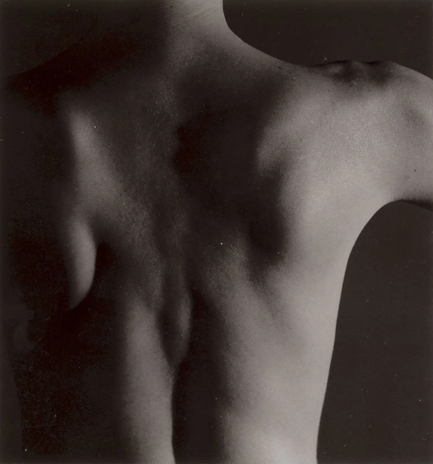 burkhard-KB0430-torso