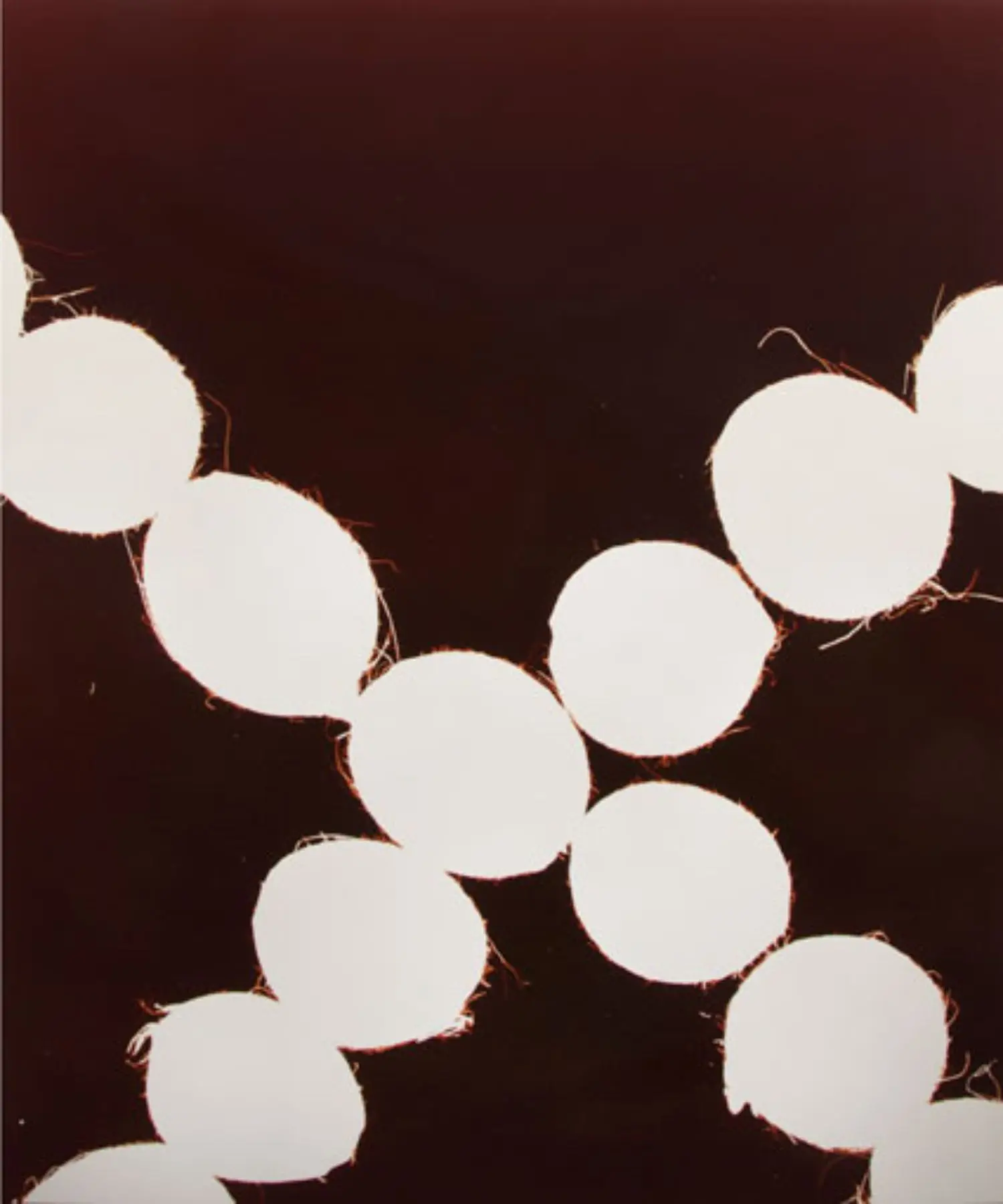 roldan-KB0950-2-indian-file