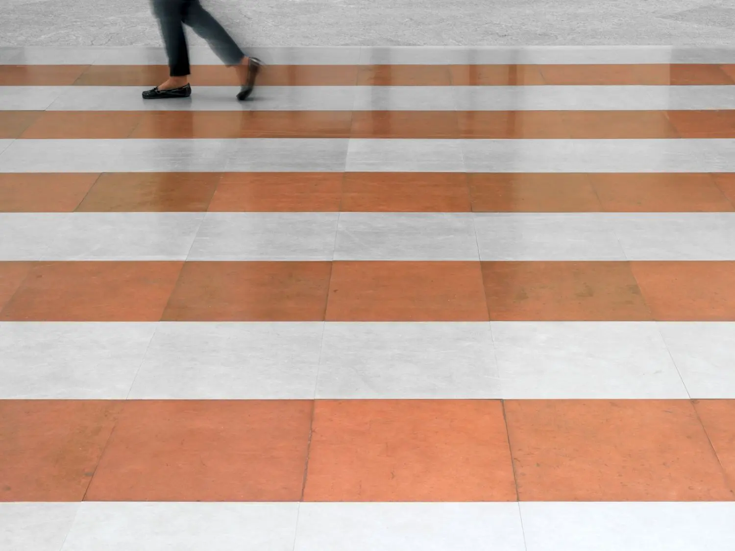 c-andre-KB0767-e-alomocu