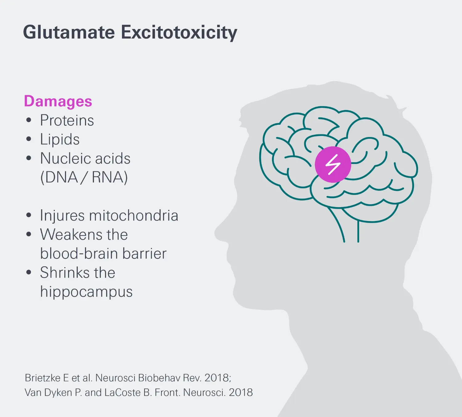 A poster featuring a person outdoors under a sky with the sun, moon, and fire, bearing text about nuclear nature and sr-glutamate-excitotoxicity.