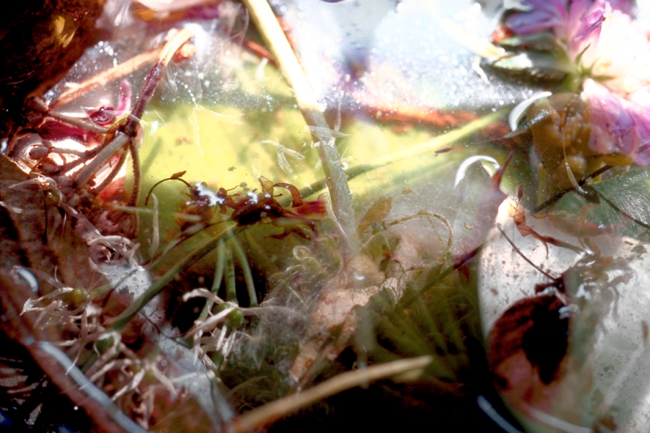 fischli-weiss-KL1526-untitled